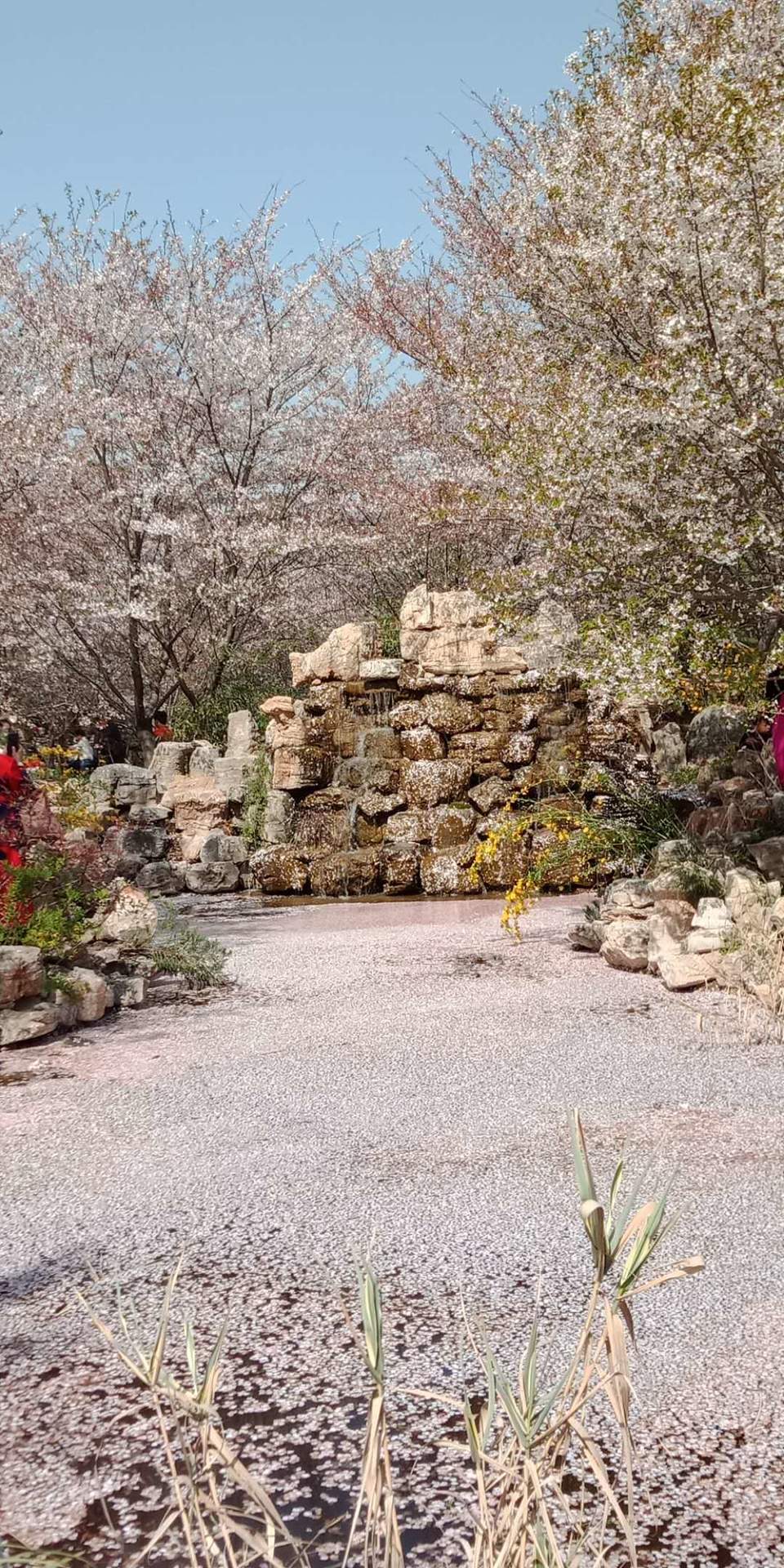 mDnGgnnIsHReK-wDfzsQnFIUk82T4MTNPK6a6cTAsA8rRapxZQNElMSF7xO21IrO