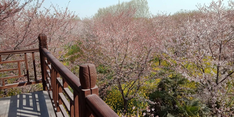 NKCJObAbKLJ22MRhfY2akitwWw9hg8WU1tpSsw3pgQJE4GhAWG_xB08qlXlL87m5