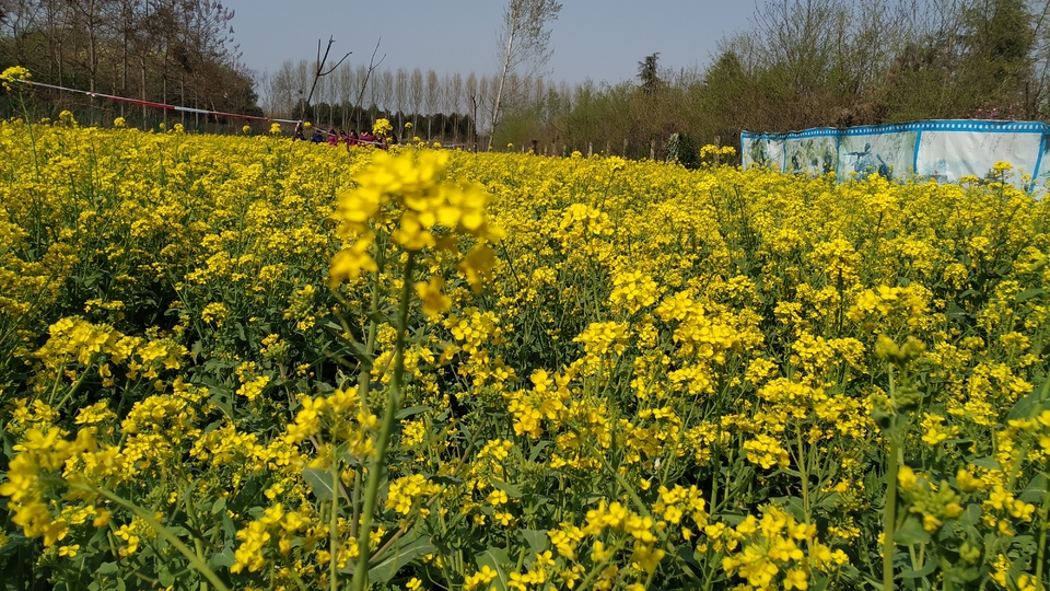 JLNrL1hBpirIcfnWDBNWEPMGjFzQ_mtTyxHY15zPIhJpwUe7oMacY7cI43BodGxq