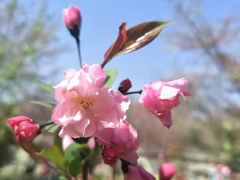 cY_eDnBlVe4LImwzYBEjEyN_Wn9VWWx0mkT_HooaY4YW6k2CJAjkWfZOFuTz6cy8