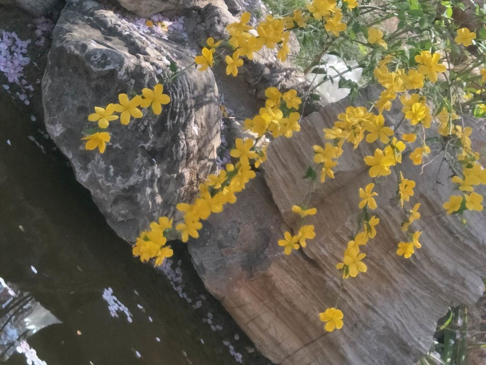 lbO4dvS5WozAppxPB5z-KJ2l_NNZOcyWwD75JTJatt132L-QdKtkQ_Iba-p4M-SM