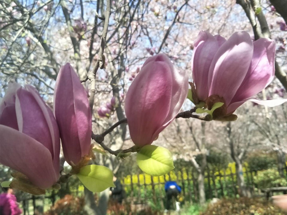 ugz2hmp4W-rVL6KCJp6mG7eyOUzwCLeBSE-9BJmtUxmYTQ-i4beb9G7bps5UqBLB