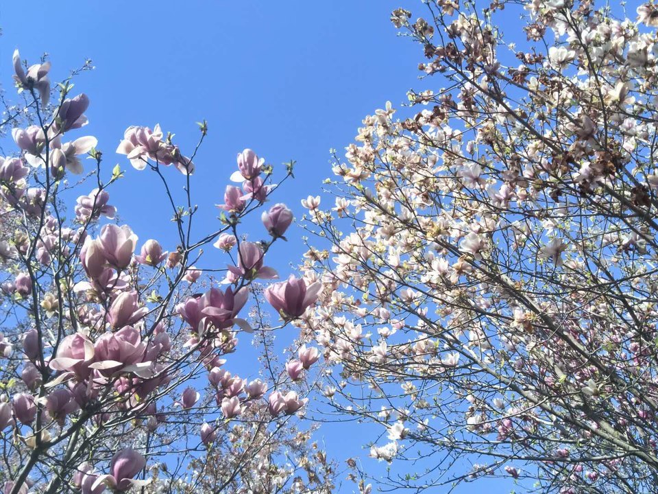 DES1wbUyJA_QHndumb2c5cUYUfbbYl-SscaOt2J6JxQddMlQHmZqbgIv7q_Zz8wA