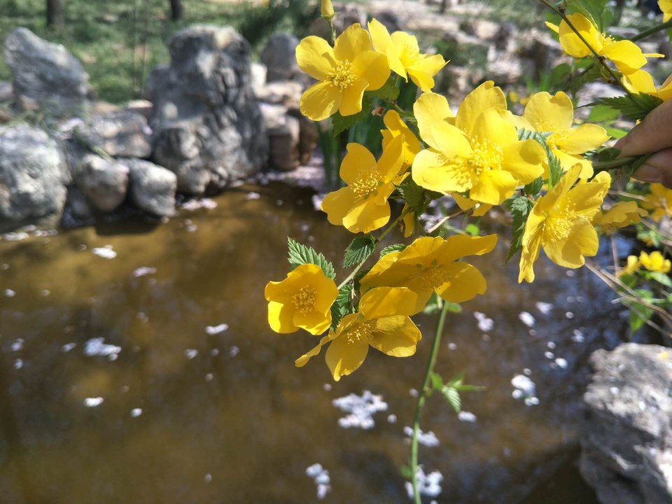 aQTKyH4LhYs89z3yOqSxculv5nRwr5R6SG84afgjjEnwjzLuH5dhAuAAbq2vfeU5