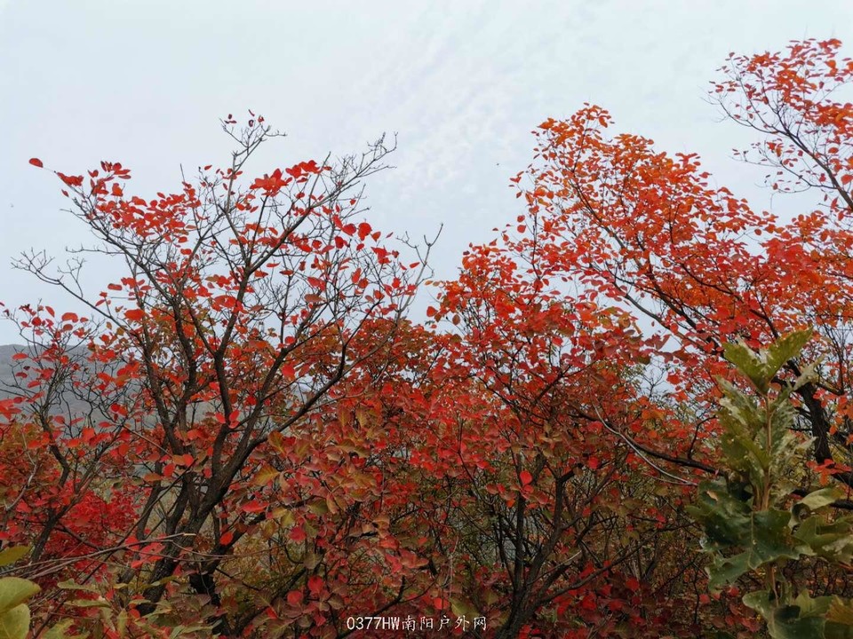 Y5PDYw1fbZPPmUFBYpkNHfqM8Z4VzVcoxQPazZ63UqFlrTEIFhfczHseqEm66ZDv