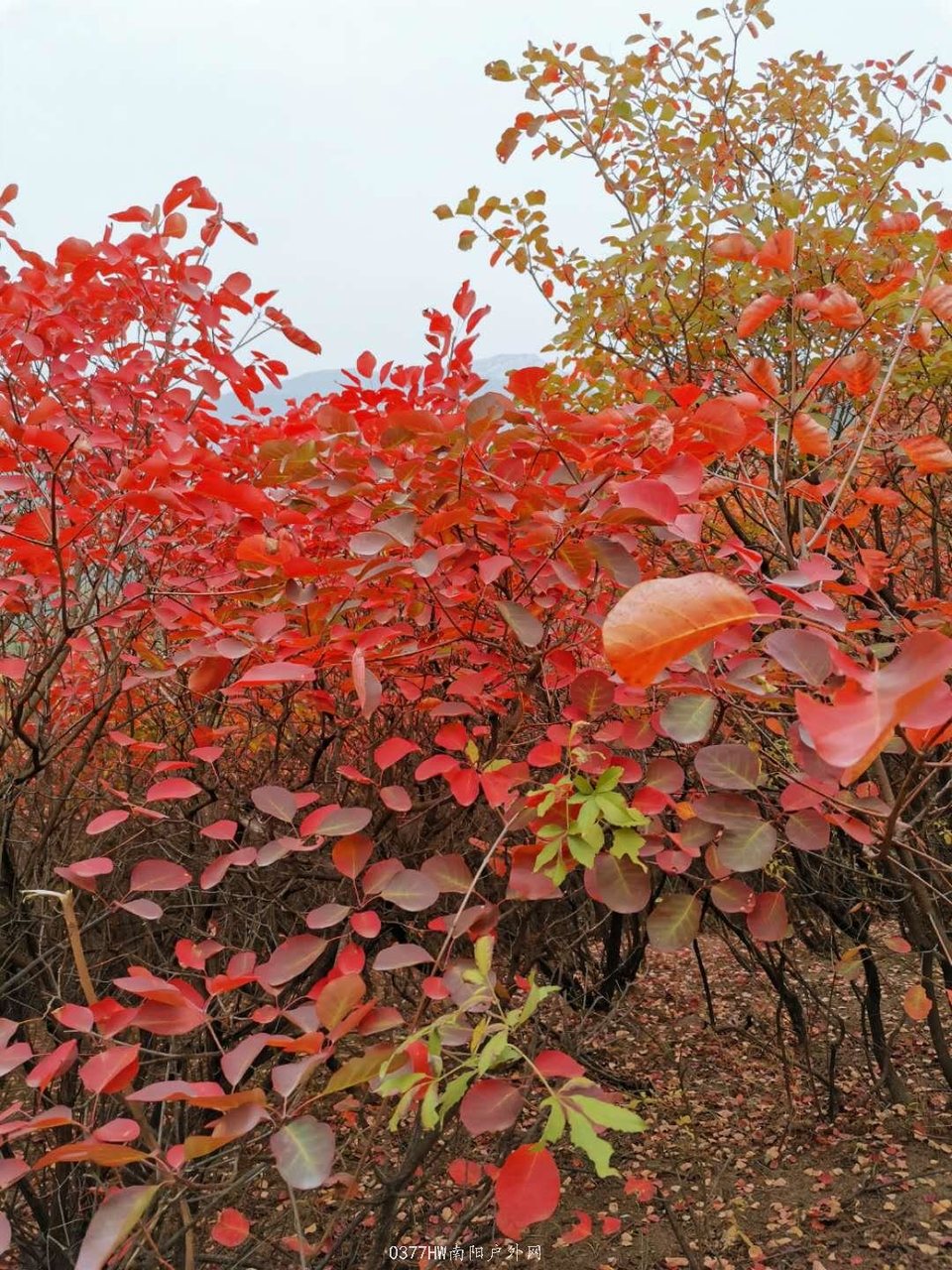 COcg6miZTGqmKfLnWvarKZZ4yWDrPCAfA1sYF3FAoCP7KlfRxtFA5MDp9rWU1_KJ