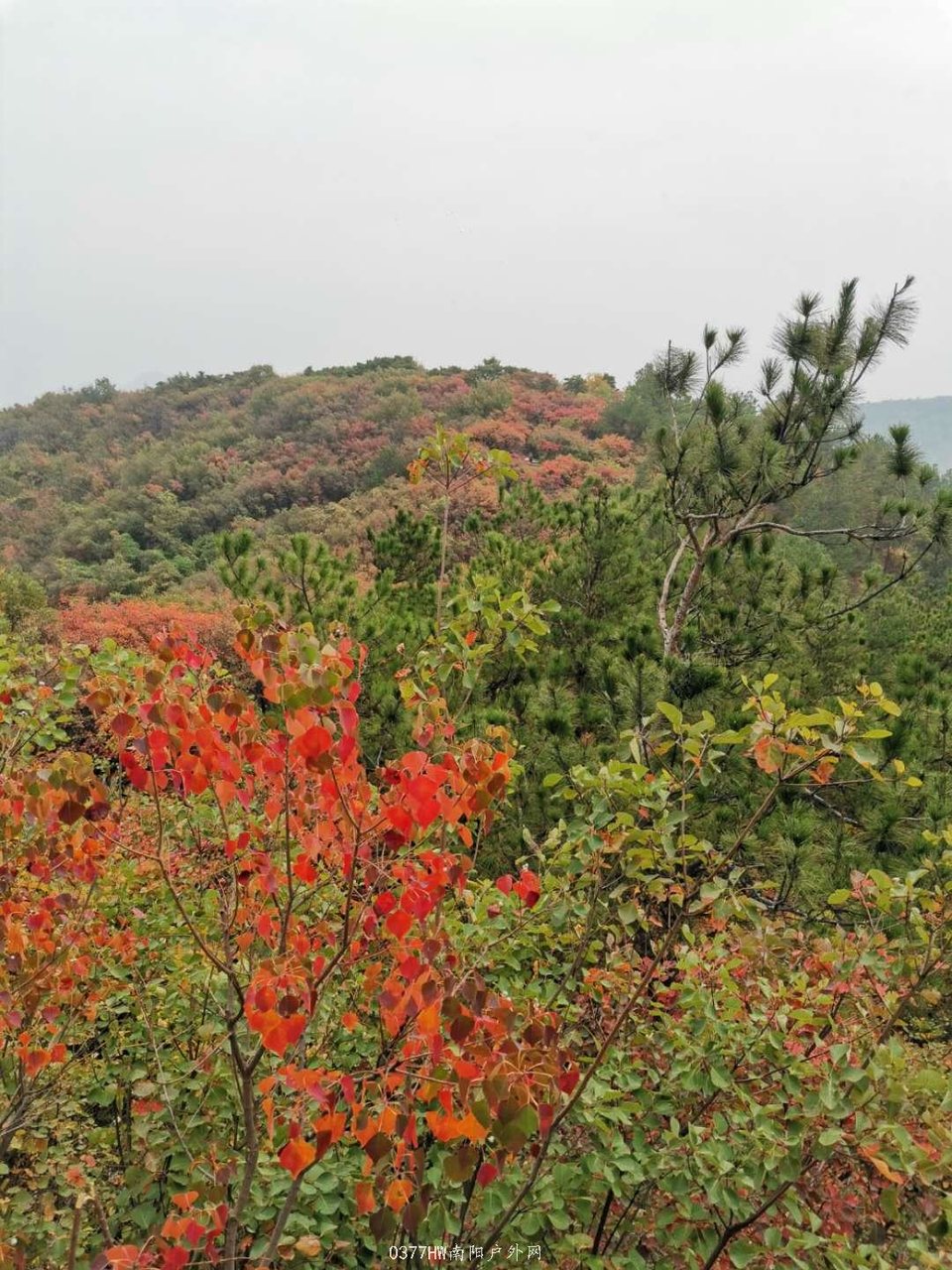 kVU9xSi_4kBb7TE09sWSkBWKw6sz_HYcZckWVquLJXRoPkwFOKR7qvMH6-T6PYSV