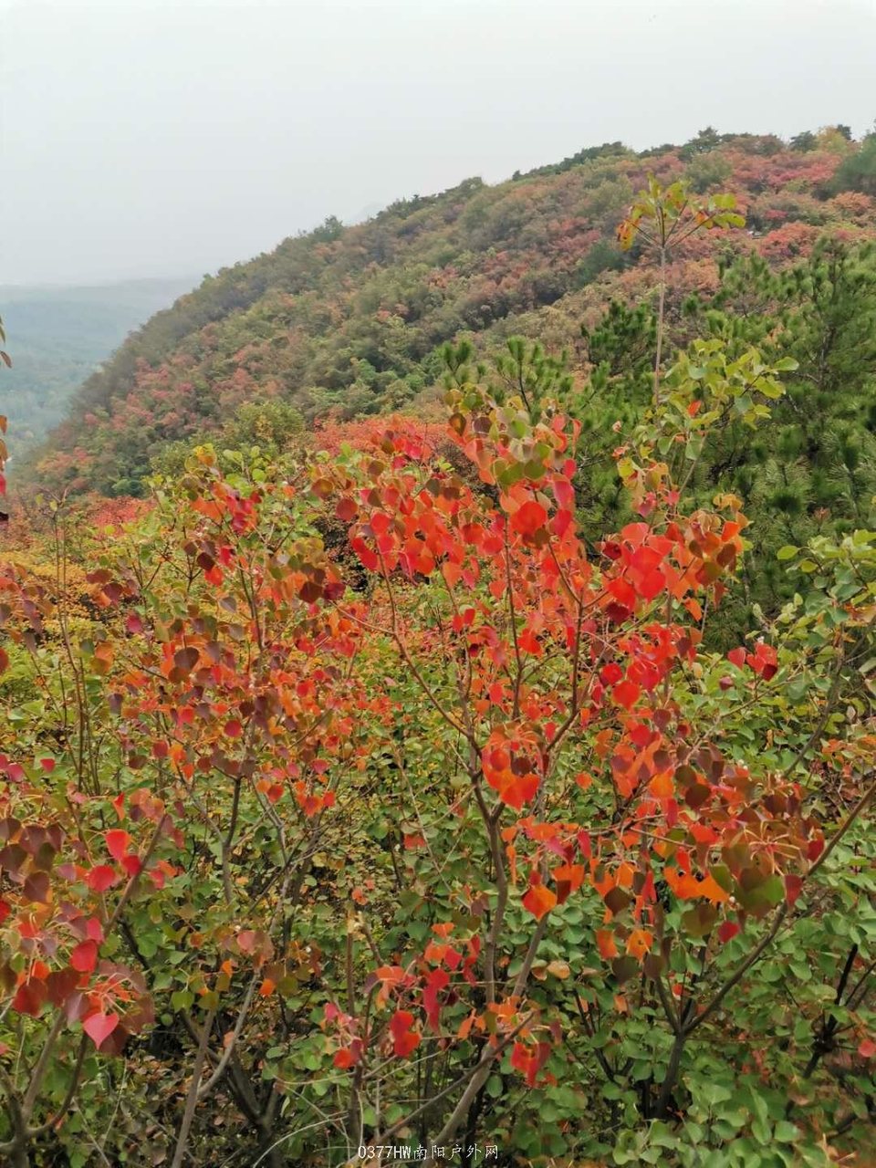 UcCsYwoRX2Syt0VsG9BxQWwJmTFY4vMFHB4Elysty7_h5rTAcw6sK7eOcmoUHCsN