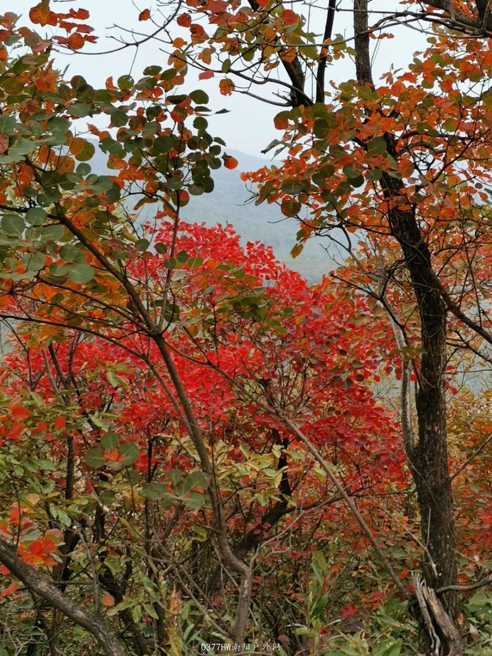 iGOKYFgsgU0uiA8J9GqhuzS80RVosxpYvfkkdTITVMLhh_zClz6-UgWadoeJNpvH