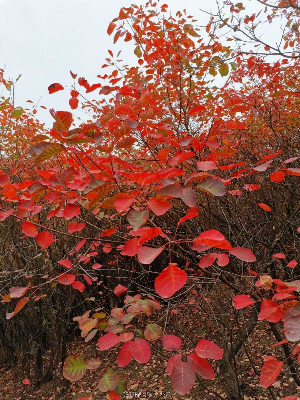 oCHmSbNggTjUA3mjLISrDAFevurLC-4YD5fiBmNmtlhTWomLcy0wG_40SBURHH3q