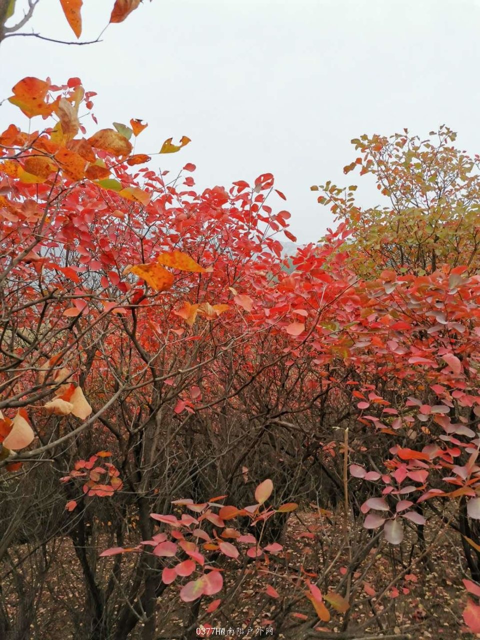 hjFB-ZxiMT7Cr3iOS0lPQhSSSp7YE-SiYTp1ot1Sxtl316Ddxzj_ycVorzie5KEh