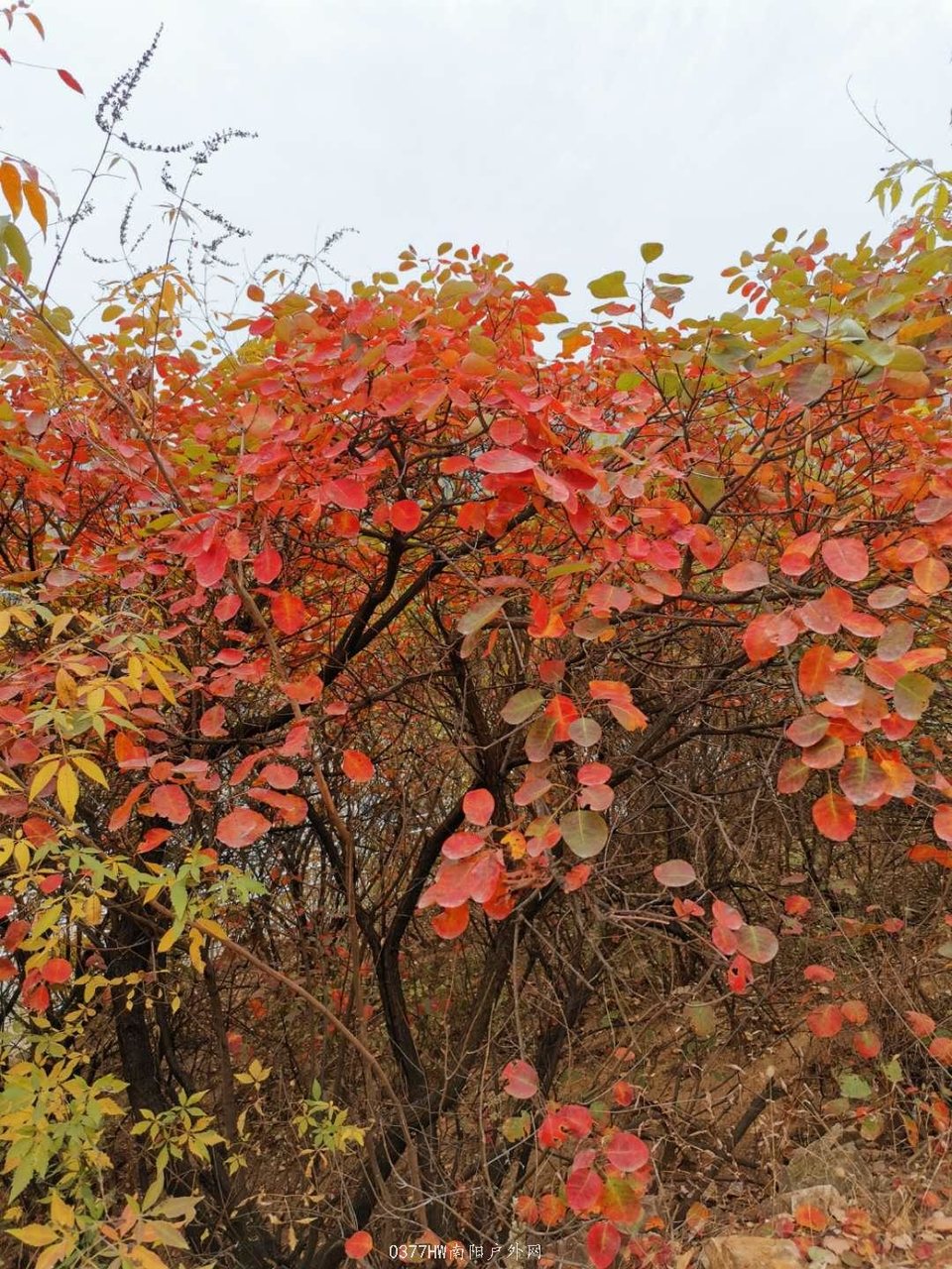 bqiwp_yFIKrT9r0GZvMdjHP261OKJ8RcJa8D9XbHM1qw0amCJjuUjUQi5K5bdTV-