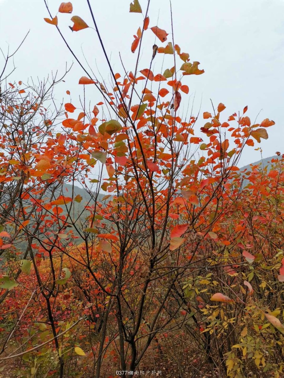 RB0Be0hXVpd-7070RE7HIpNKVAApkR7IEkYt-FVDRmJO717BXJaBLtjXY_FdbkTq