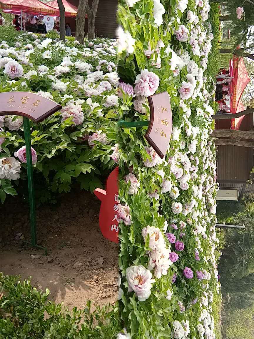 ENbQfXpKMFWpUxyxKzaQun1RnbMs1klub_AyuqIGak9zIJKJ1gVq05VhDhpwnfZt