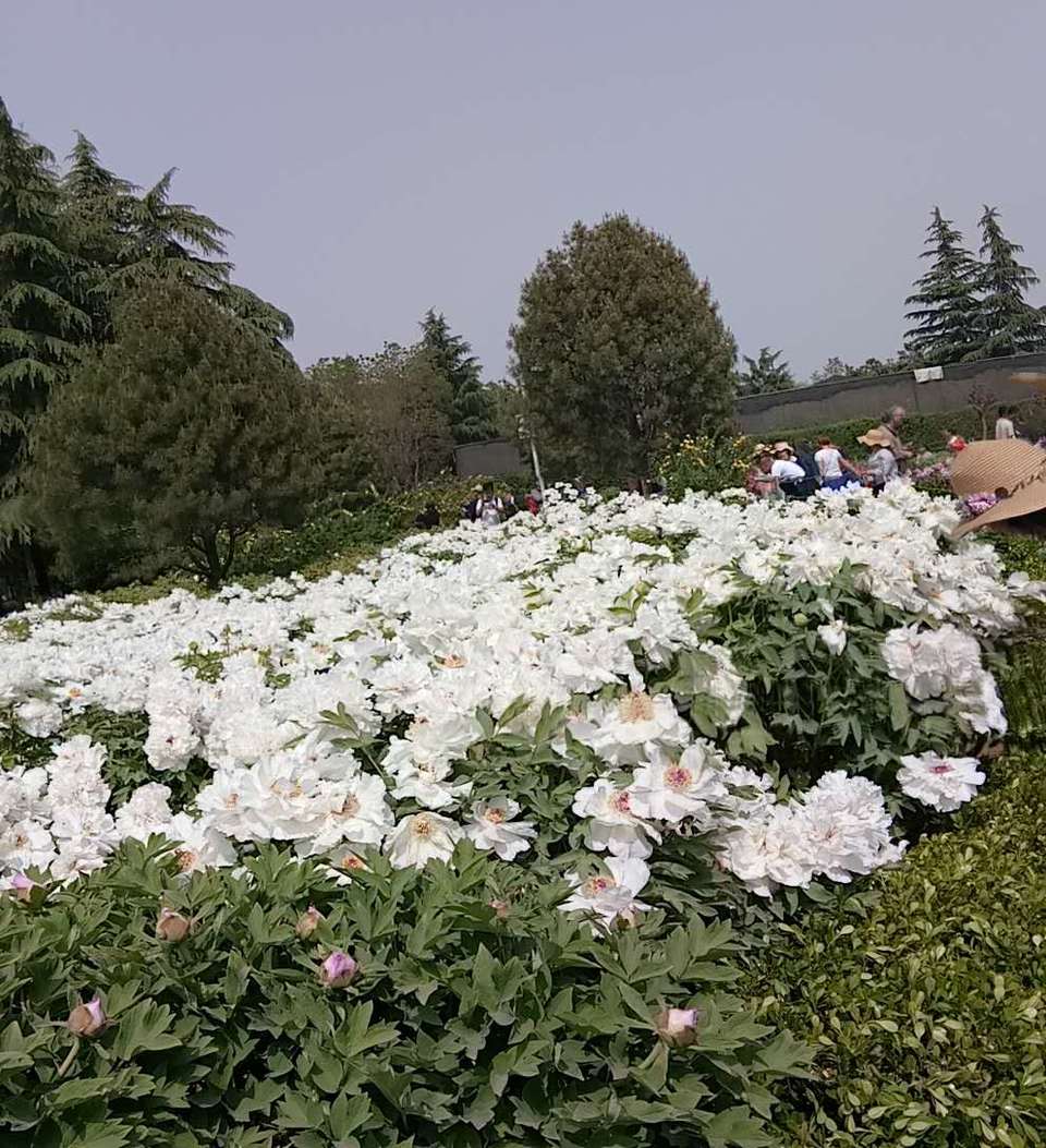 GKgonDGeg8B-JONCzdmYrqa5Xby-mbLB1IGym8zCK4-nz25fFhPnNT87-evefc2p