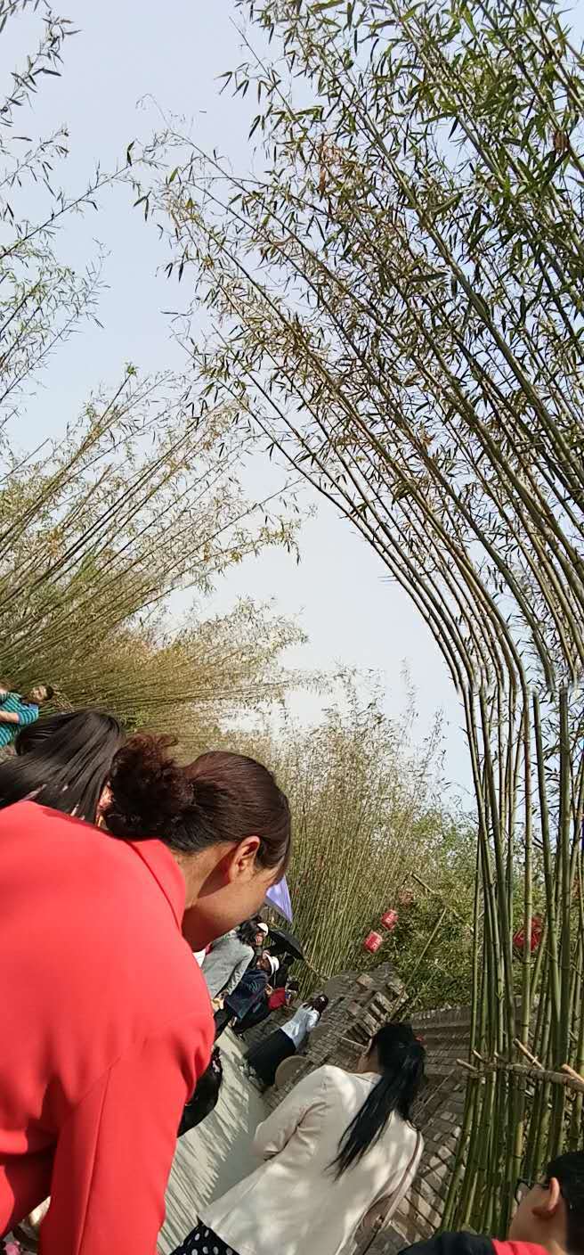 gD9escTXTa6qdAj7SFSlSTDTBZcdMb51Xo2hfXY1EuoIULphWlkJht2OUhmolpzi