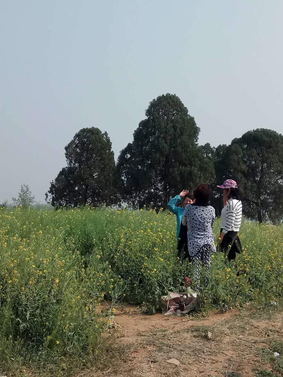 Nf7Mr-SfpGhv20lQXT0zB8B6CZi15p13ZTJyDvcuWM5NCx19AO_F33qm4qzMof2s