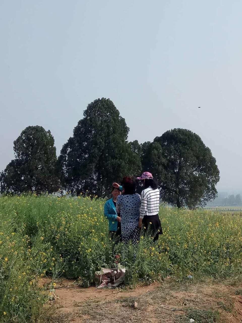 sGs9tXVh54j-uW5noiUZuaErB1G26xycDz_KjZrFVh1mzymkQXVtSk_zuD3Qpt-I