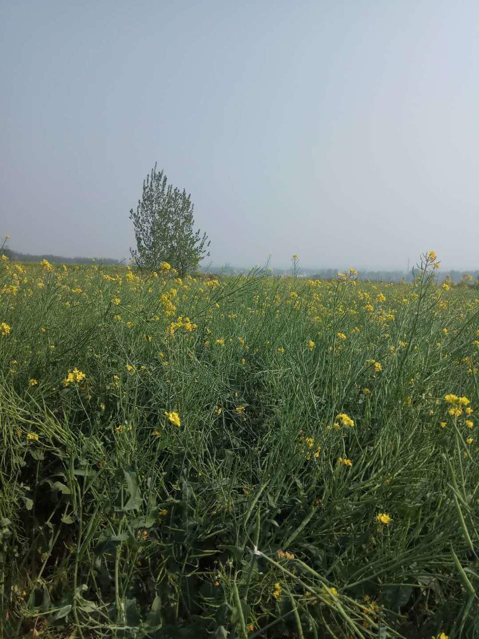 zME0DuHy4Wii076XG0d1N_iX7IM1Daf3sPs9E4eD0TPsjODJ-Ca1ZFuov1KoxSN7