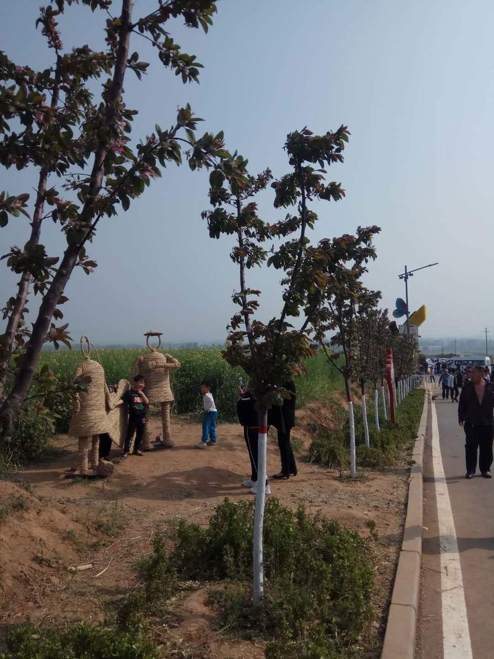 UywfECc5OjSiVcwwNhiWwxBjGO8fa1ehg-JKJRDPbV6wKyjKuSN9u0a7Pc38_fKz