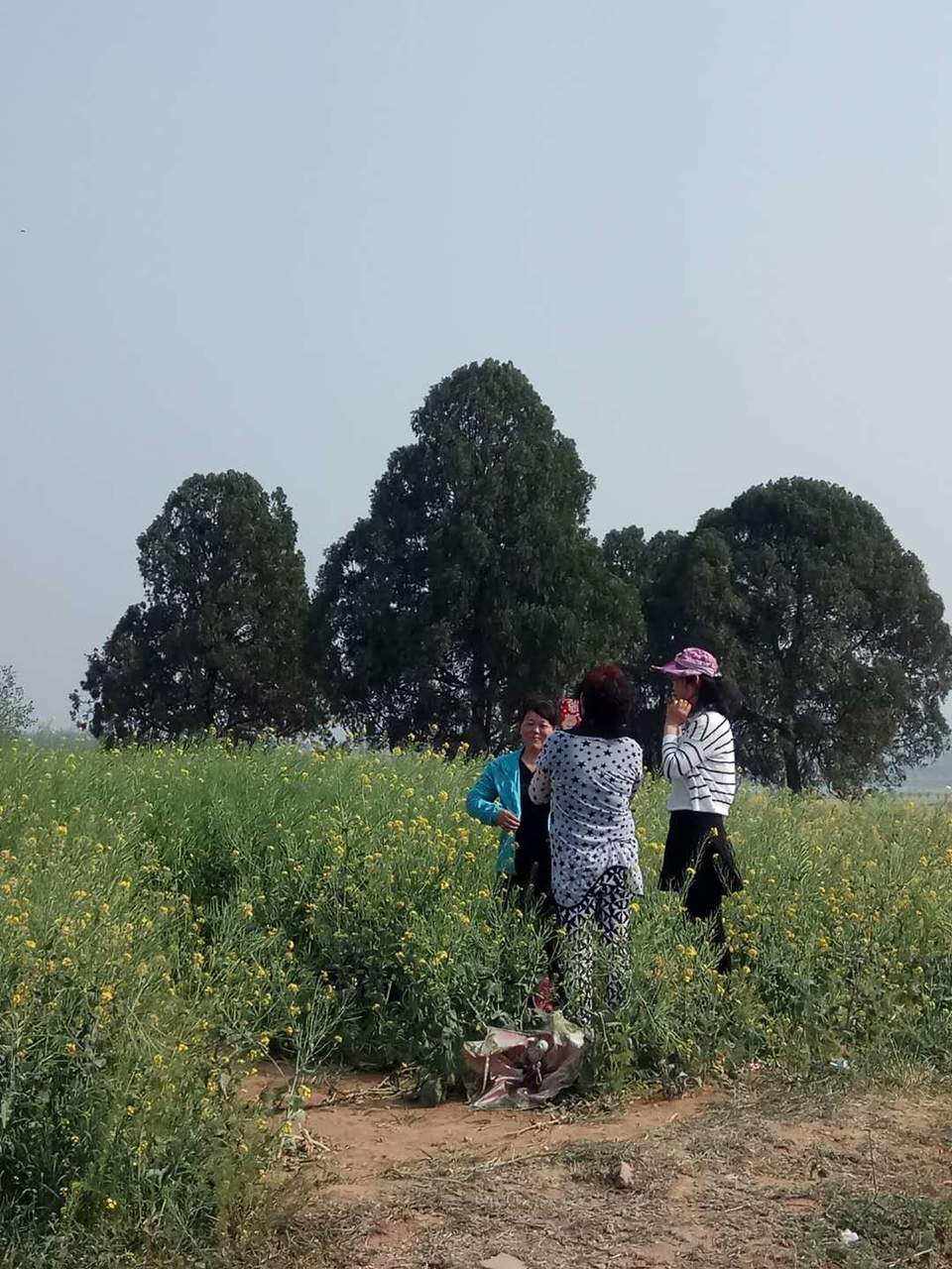 gD9escTXTa6qdAj7SFSlScmd92cNehA6XM9DMQHuzx4qGeeseXDr4WijbGDalbDZ