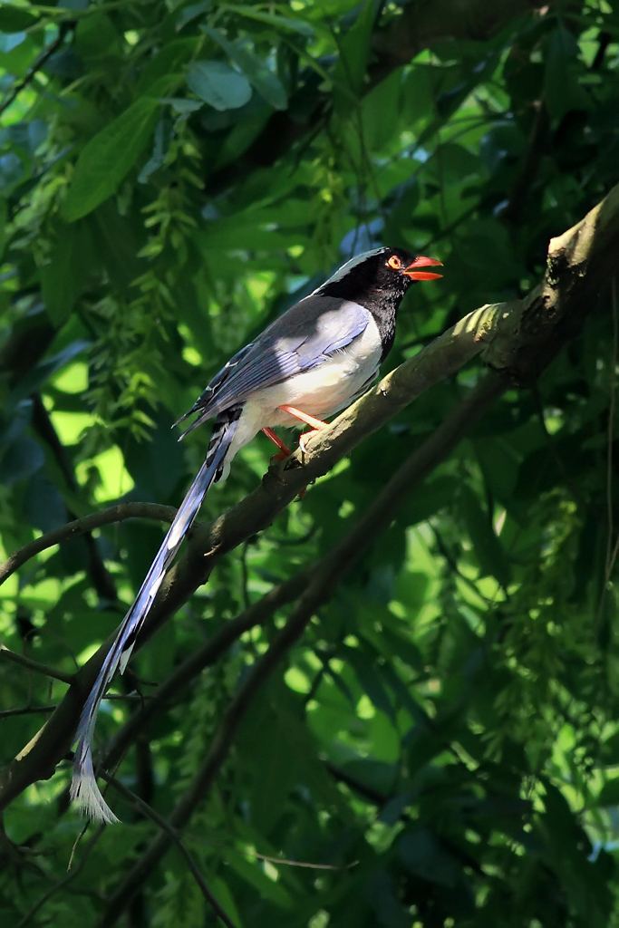 mP6ohf8ifC0KKEfj9HnMP3yjm-CkPURvpbi3F9AYeM6RjDe0PYftP6-QcajuyNui