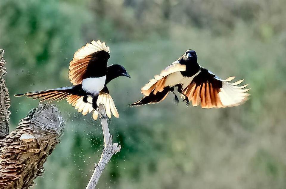 809gXUc1CaqUYptm2LrYFwf-uYuO065LIs44OkHhxX0RDLO-tEKaILGXxMTIQ1Bg