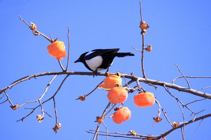 ptmSO6Gx0jLLi57Zx1rmsuvbjE7hl8FMyiyvbggugxq0eKhJ3i5YxwbGIdK4ZNDe