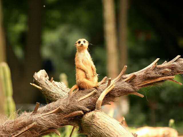 dFh6SHWBQ5gMLMsXh8qM7nxlkbxwtsQr-2PGpzS96YccVcIPDqV6zBEwwSj65wN2