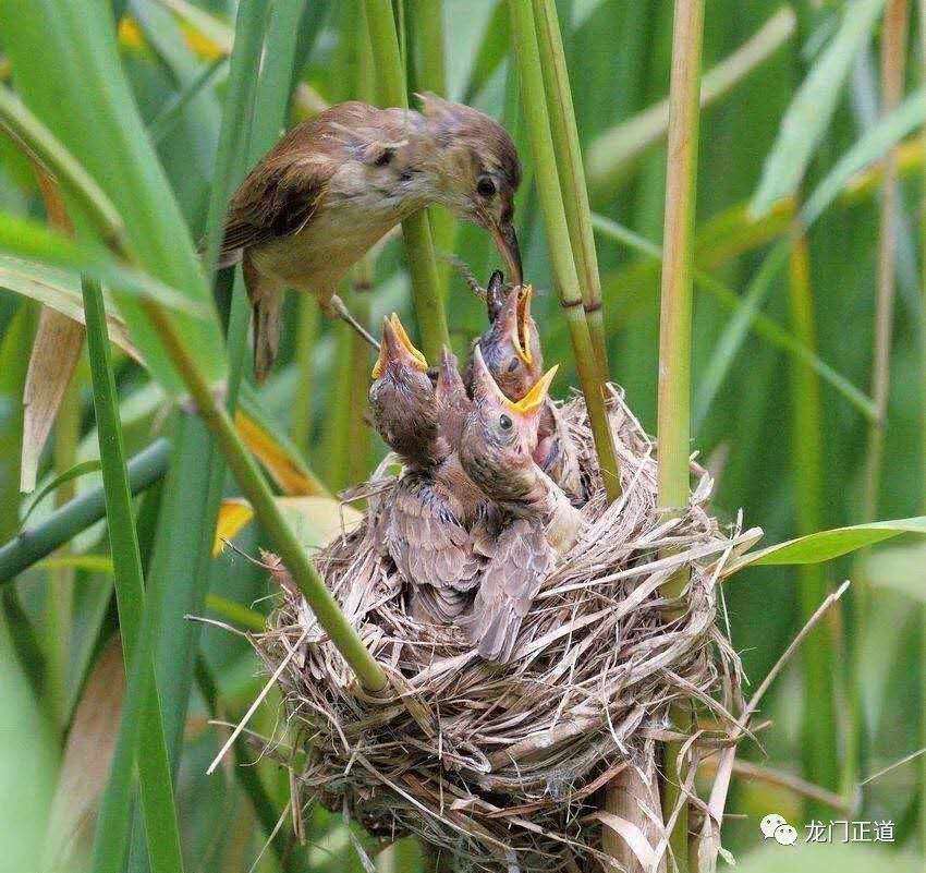 XN6ooFp1qi2ju8jh7ZHWgXZGRp6KOZgAU1fUklGYv70fvlnKRt49V25zGrbvYlpl