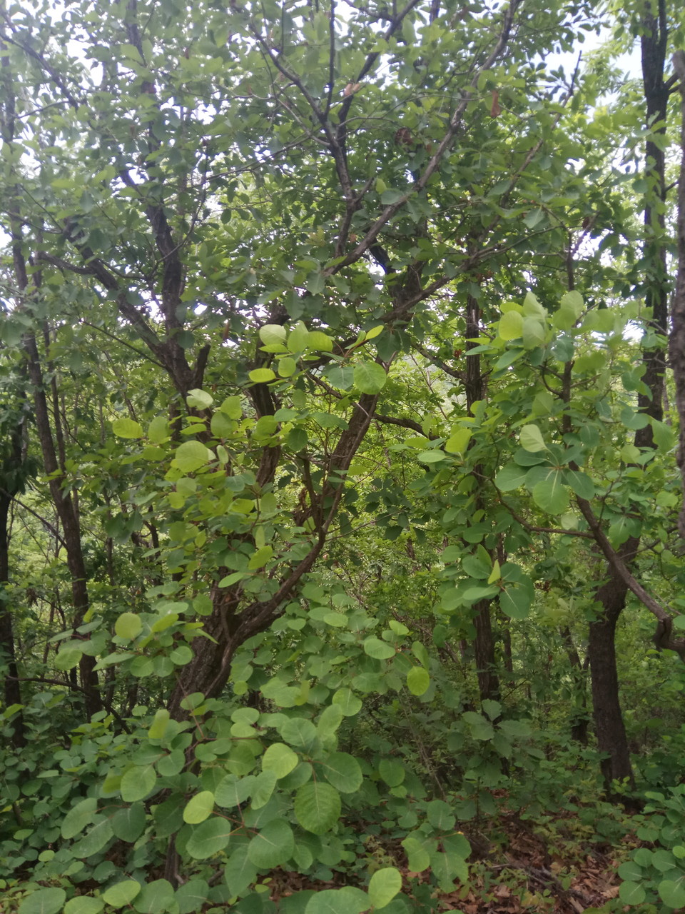 _U8KvSGddjvegX3y4B3xNZtgrsavf-bz1ajg0qB9jfT5cU7ZDa48gjTd12TfKUai