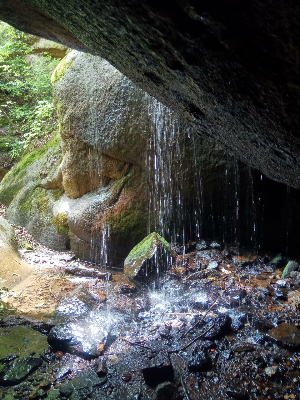 KfFW51LAvX4s3sFffd3G1Kot8-D-LJIwAtM2SrKbIJWoNOLY3qr80eDEh891eOZ6