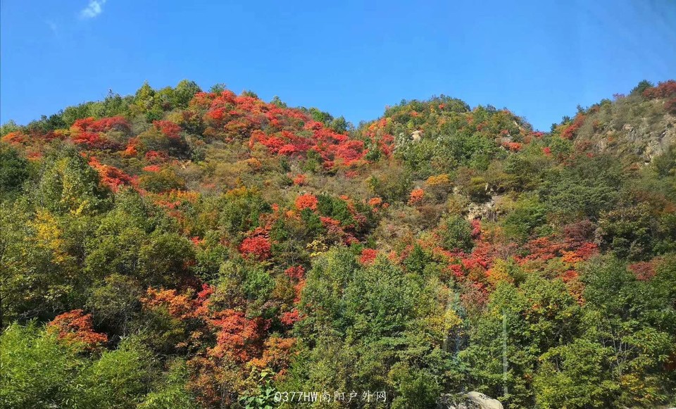 lKt9D1zR9i2xExBi1rlOp5VTyXV6qlpbqM15jQZwqOAasQ3uRvV_oZqTSgX1zG1f