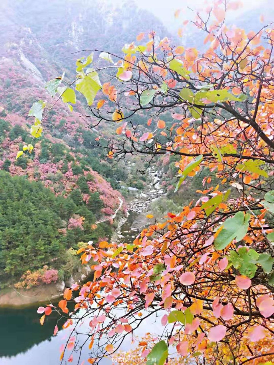 QKx2laUTl3dMQmPtRoINwrLF3bi3LHHwnR04-abWZk5OHfUQOGz3sRGIK1n9Mk9m