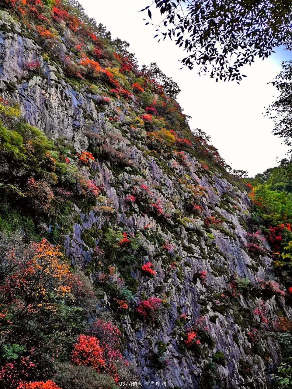 -yi1Vtyh_Yu2WNw13L3Luvj5yPDZ5A0wmXgIF0_FN39JcZqEzPLnLFeGfEs4erVE