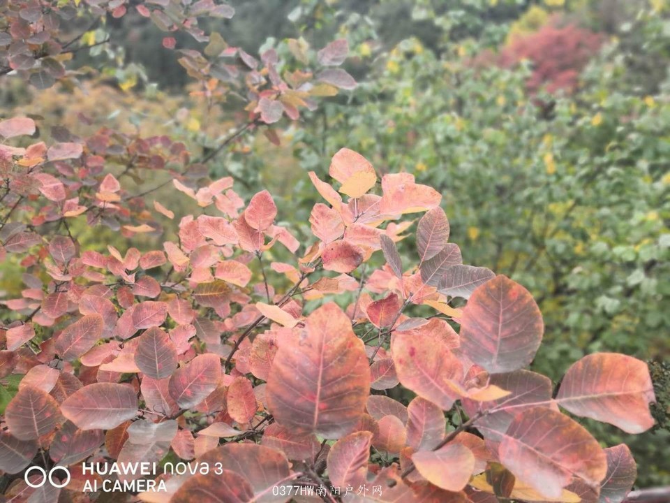 Wb2rZxlKAhFj7ETA94DEkroYFGOaRrnGwxDfuTZDEzyX8vhdJY8YQavNbXHPrJLm