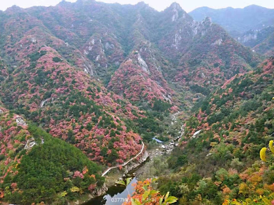 St4NKoK1In__7C17iY43w5G8qP17NwxhL6vFUkVb6xuLXlaVWY1BvxJmQKulYU1z