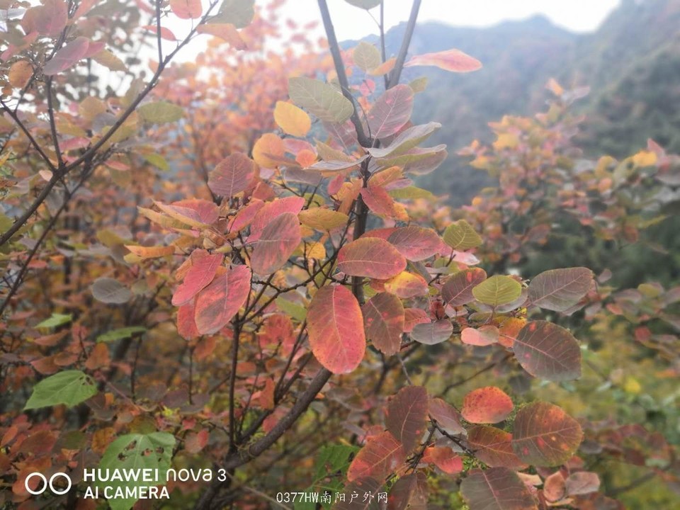 4djWJ_-zWY2O2OKv9tc9uVf5pJbUGi2Wkc1tWS_fsXbhUAEDEZ8RFtlm8AFgWHao