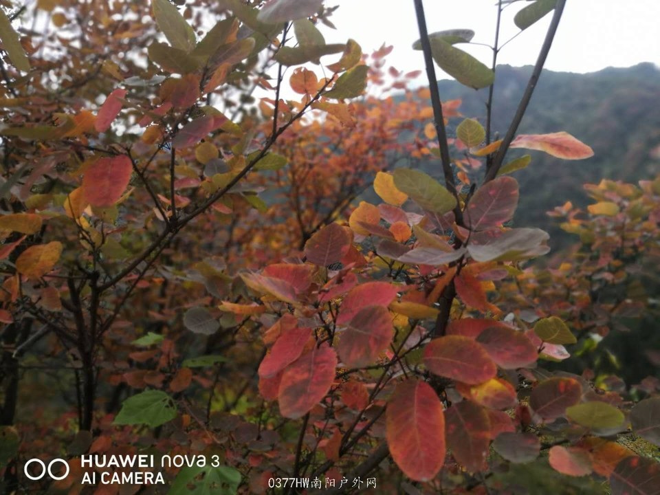 1POBJqehprFZYsmxUiSTNFFPoRJkUudliYZO8czQ7NcHEBIuBNcxCxZj2_VNhaXz