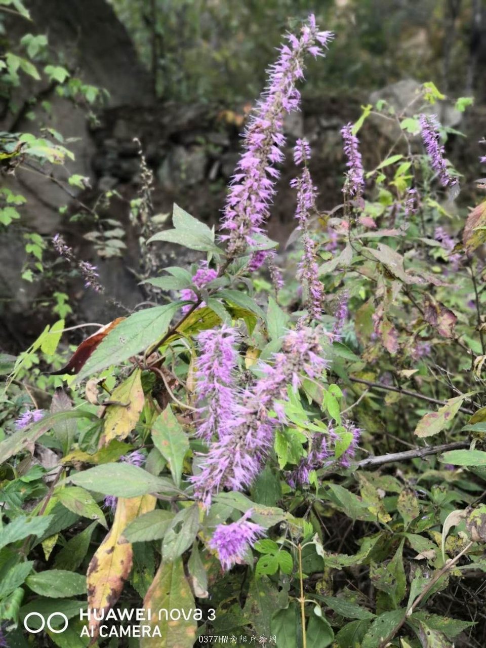 vJpOvIeietgSlxfCsD_rdXa_DSEaR0U-LlH44s1zLTZBuUatXUqQx1bsHvd5c67G