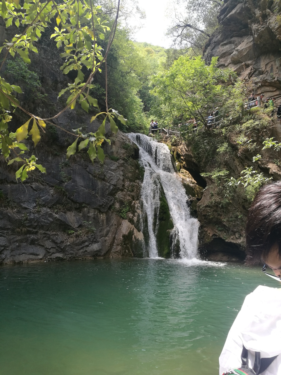 Rfp7cktIvZSryfsDRliyquXStL-I56GxWHdCublm0E9yOMQrUrcacV5_M_LGE5iR