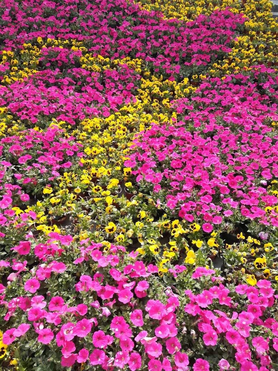 1LYrsgjAqnMBlKjajL2pY_8iknSN7bx6jLASv05KSIP4ewPbIHlV142kTIzyJKes