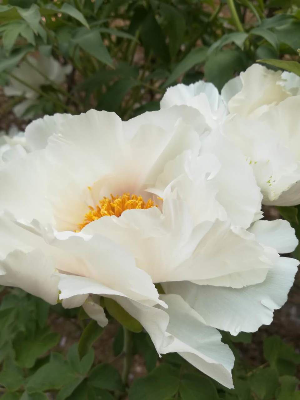 bMVZ1yFAuFfLlbivVec4oCaCFQhCdkck6-GIKi76Deh-jshBAfRuL93wnWHiAdGT