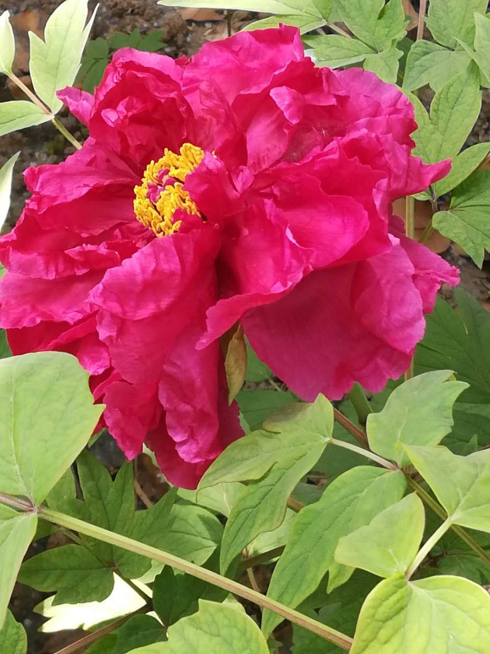 yf8Jfi-V1jFC5uQHrcpN6VzB8z0JO-0qxf5qqXw7beXSRB6soXCh3eEJEzMZlgMq