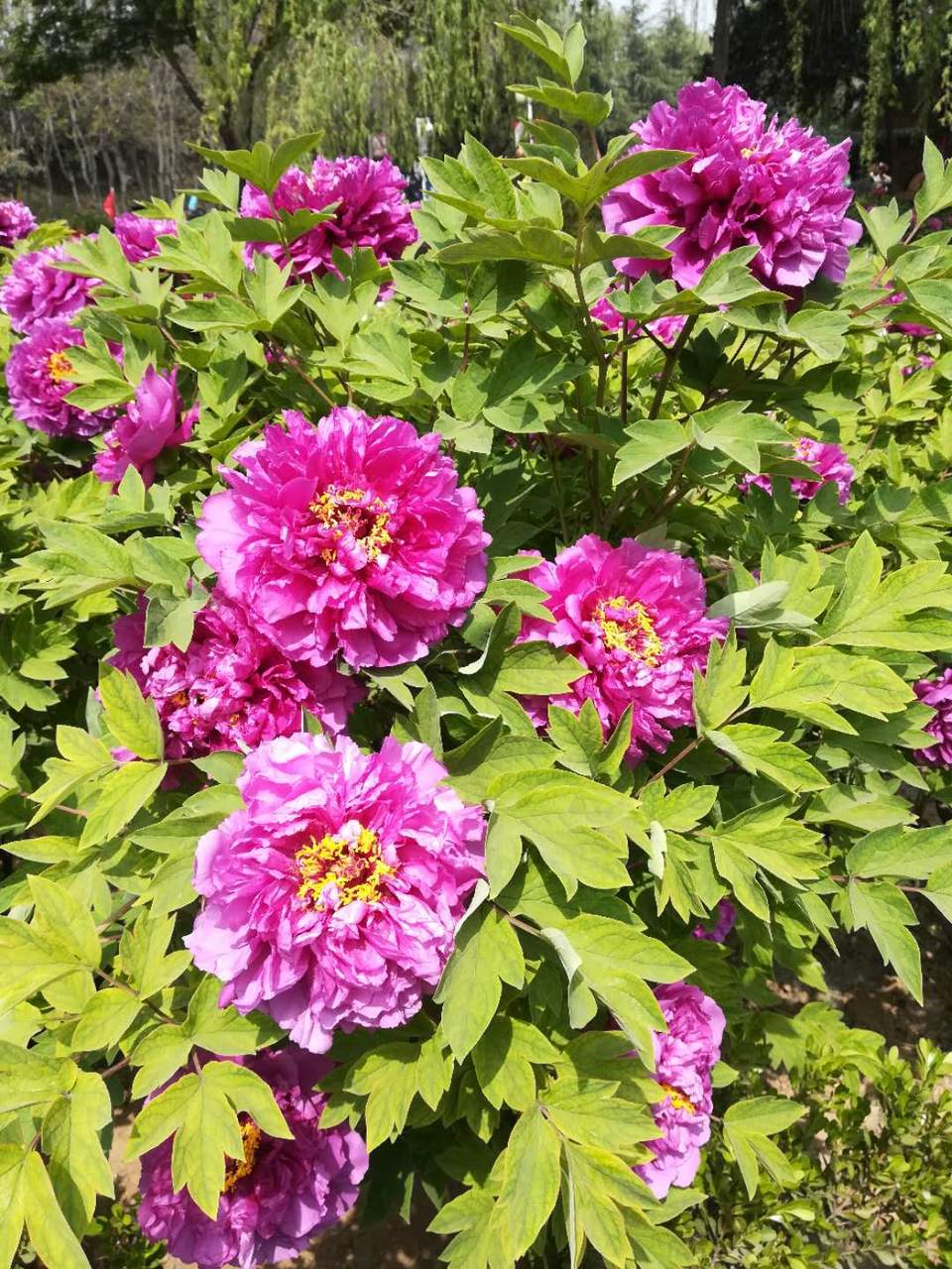 0YECeR58Xf3aWcx3EYaRMlyBt8FBPgh2TZAwjRzt0etZoL6hc82JbhKOB0Zp2t4j