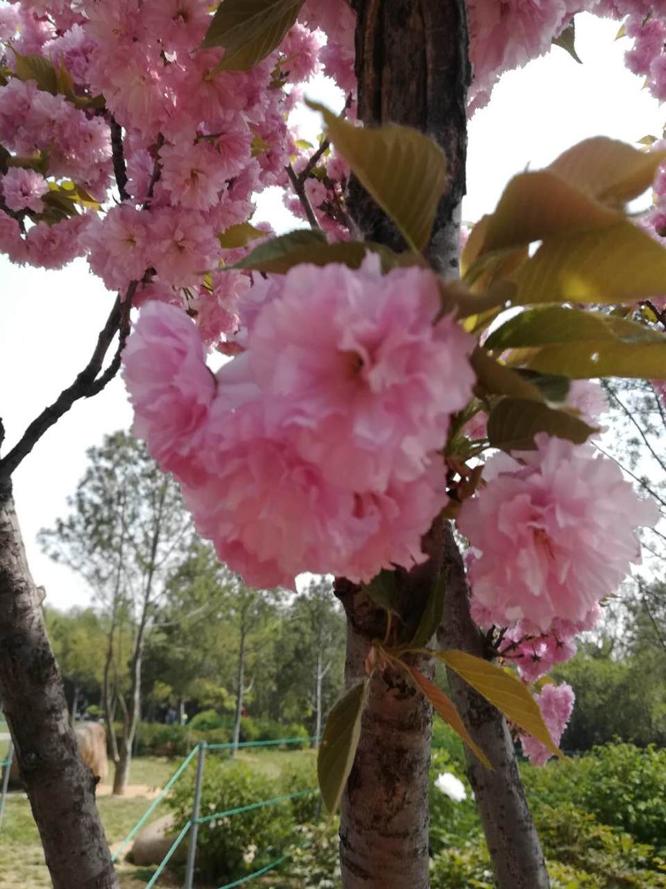 yf8Jfi-V1jFC5uQHrcpN6Qe0K3G-NfYY4Mvsl__-xizI_qsvj2-FX-ZqaLevAtD_