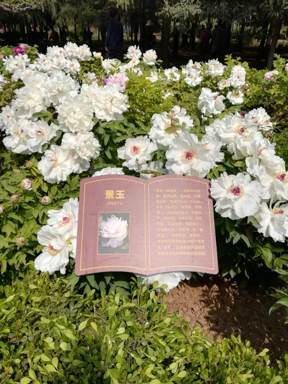 1baJB5u5oZ8x1dqbnbmzDFCu8DHOrQOa5qC8Z6-BjDHoANwyPCgt7URvVxp_wSrb