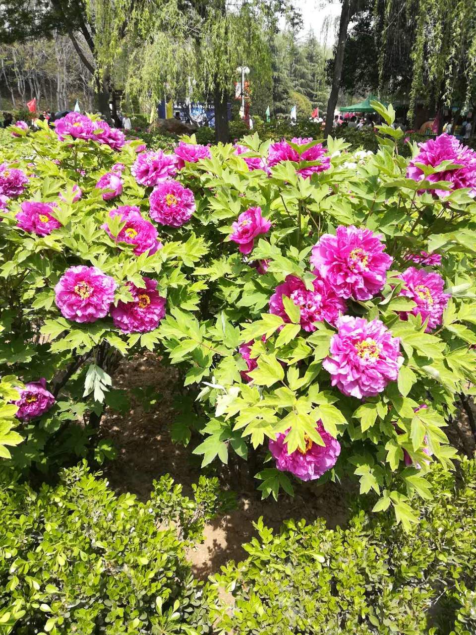 pJ8KAe2BLgR67-DZL8TJT0u-18CF7e6pN0gwC_mZzNEAklccN3gwxoKkprkFhU0S