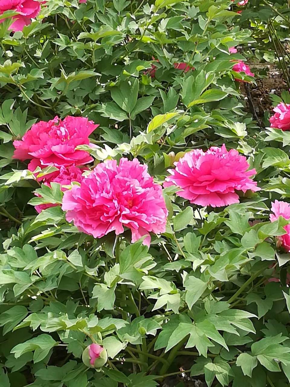 JPhqqUTSlG4S1ujt0cPht1mdfYEaIegQvPFoglnaJfFjxs2ObT-pEug5B1_fSB4Y