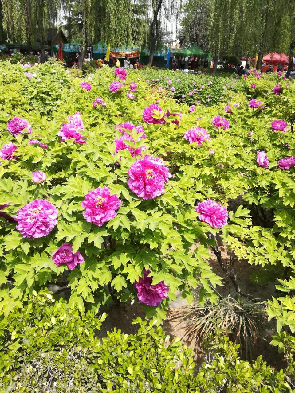 UN3odsbUeVL-W0-HLHP7DP8eGN3sgzLrSN4FSyo_Mgb5htAe93laSzChAngO4EAA